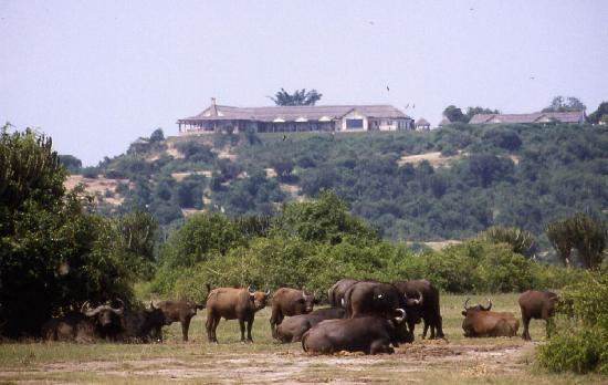 Mweya safari lodge